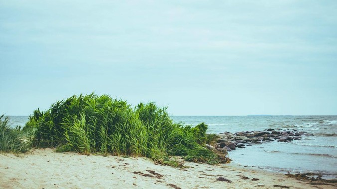 董宇辉卖春联，到底得罪了谁？_同行_销售_年货